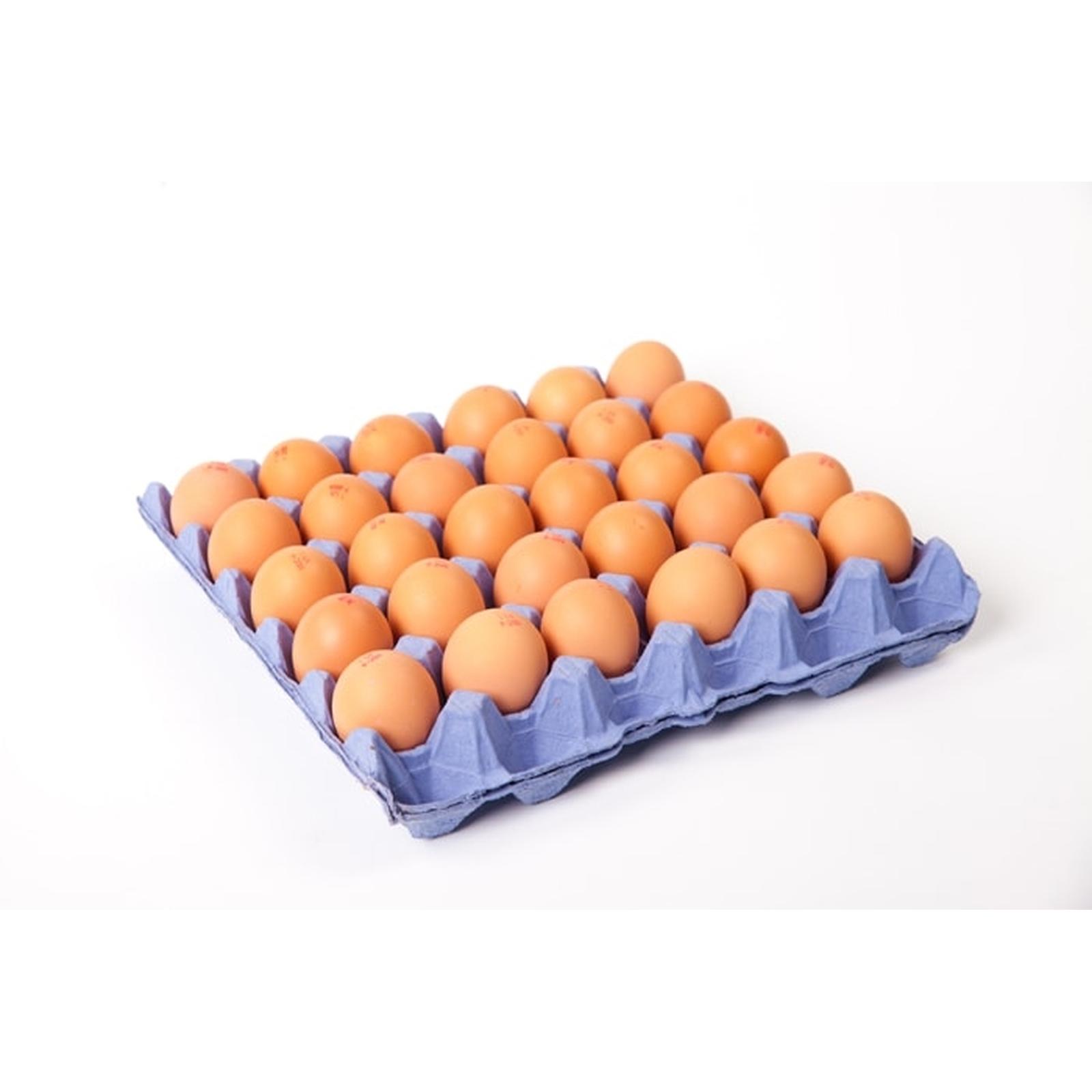 Telur Ayam Pilihan (12 butir)